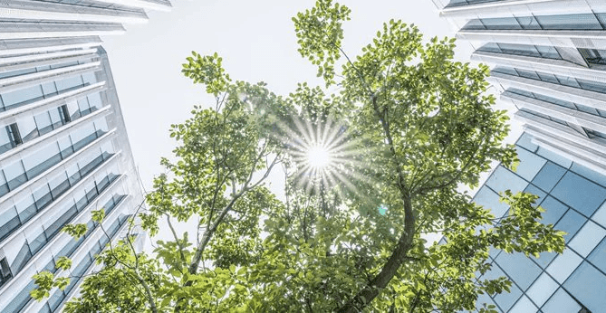 In this article, Sandpaper will be defining the concept and discussing the many benefits of sustainability reporting—for businesses, stakeholders, and the environment.